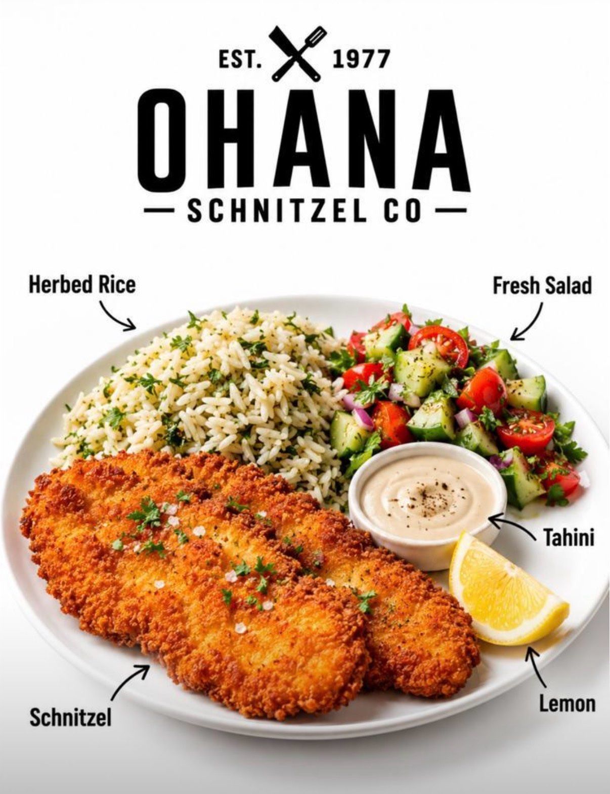 The OHANA schnitzel plate — schnitzel, herbed rice, fresh salad, tahini, lemon